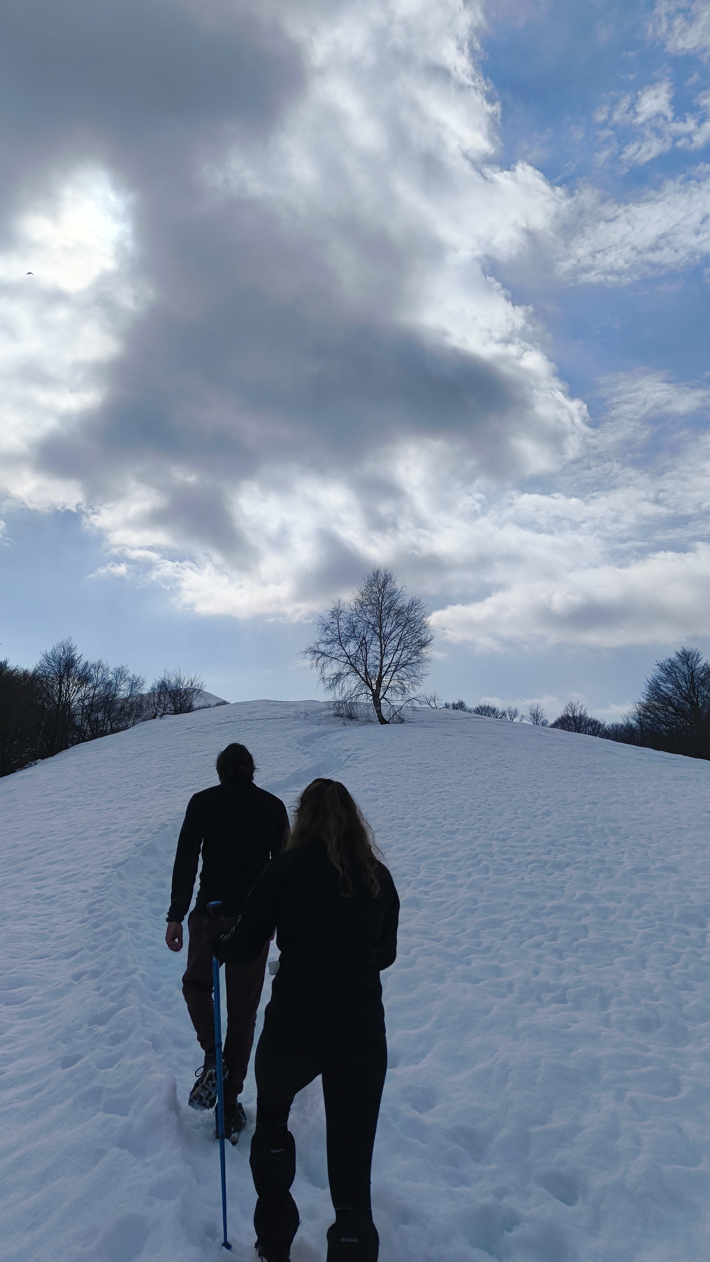 Foto n° 15 del trekking Bivacco del Gufo - Pizzo Pernice │ Alpe Curgei